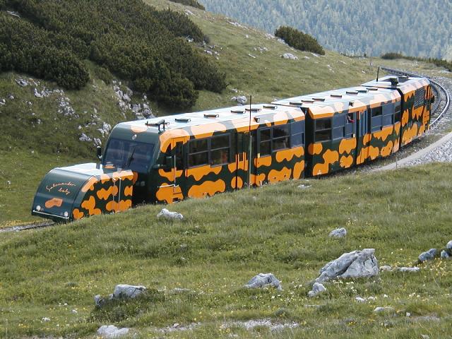 Schneeberg-Salamander